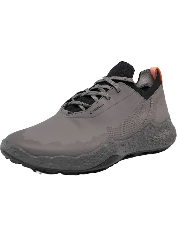 ecco Scarpe da golf Golf Biom H5, antracite