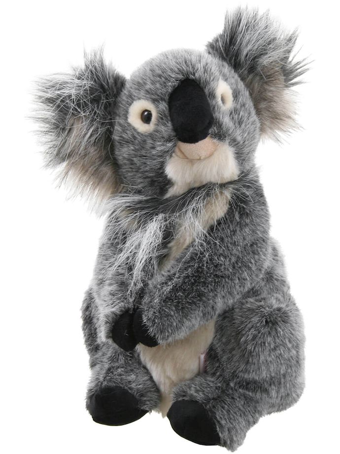 Daphne Driver Headcover Koala